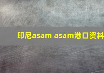 印尼asam asam港口资料